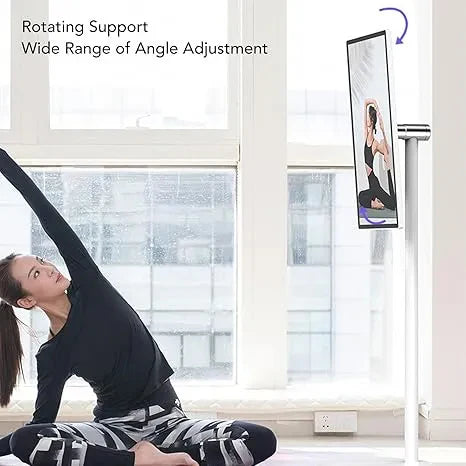 Portable television